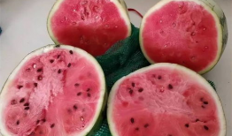 如何判断吃瓜爆料的真假,如何辨别真伪，守护网络信息安全